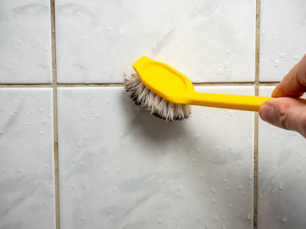 Best Toxic Mold Removal  in Centerville, MN