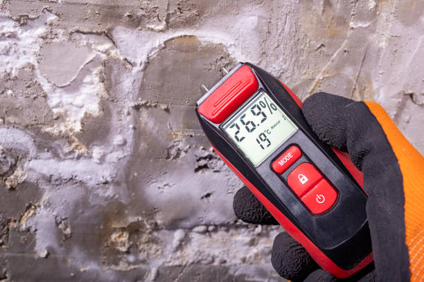 Crawl Space Mold Removal in Centerville, MN