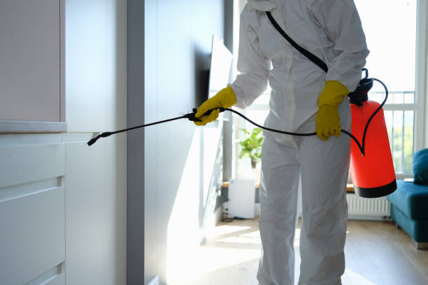 Best Emergency Mold Removal  in Centerville, MN