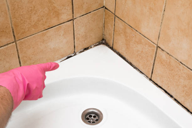 Best Mold Testing  in Centerville, MN