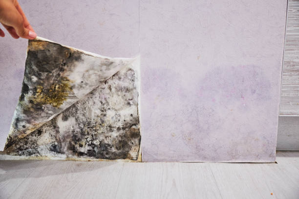 Water Damage Restoration in Centerville, MN